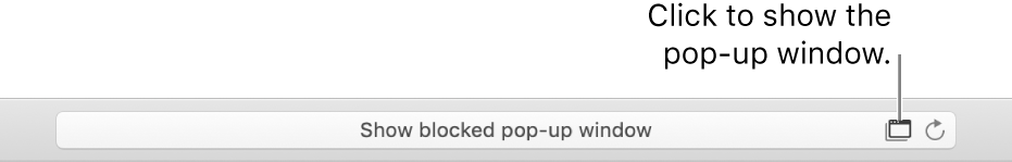 Smart Search field showing an icon on the right to allow pop-up windows.