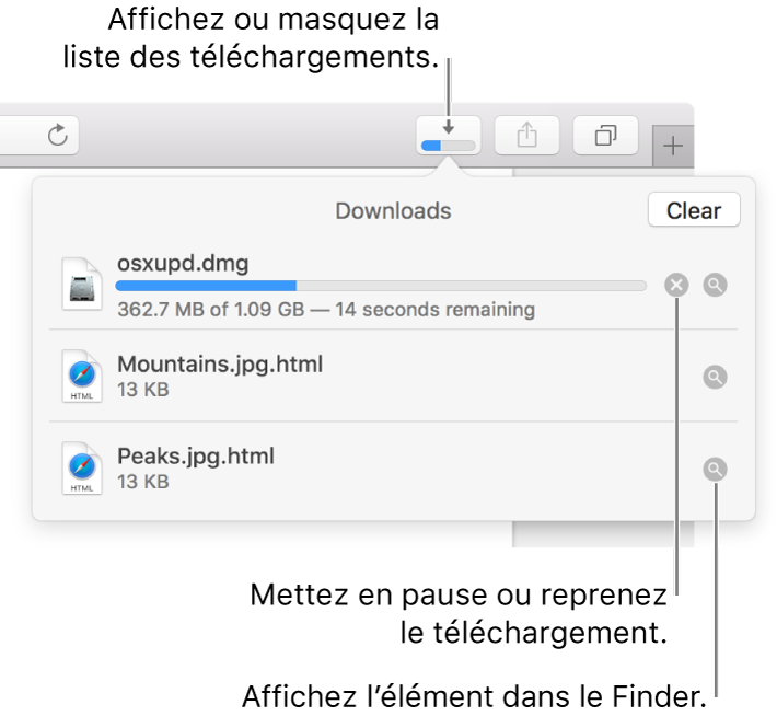 Le bouton Téléchargements de la barre d’outils, avec la liste de téléchargements sous celui-ci.