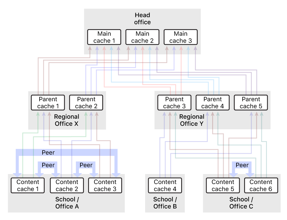 Multiple Mac computers with content caching turned on.