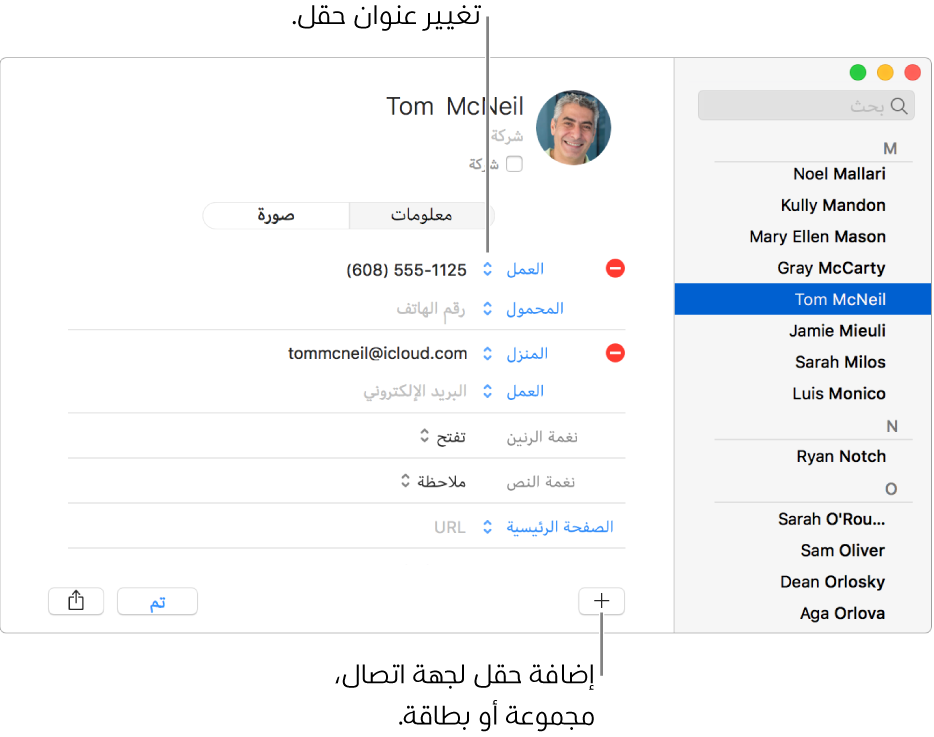 بطاقة جهة اتصال يظهر بها تسمية حقل يمكن تغييرها، وفي أسفل البطاقة يظهر زر لإضافة جهة اتصال، أو مجموعة، أو حقل بطاقة.