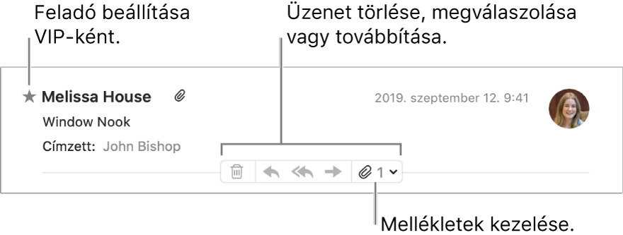 Az üzenet fejlécén megjelenik egy csillag a feladó neve mellett, amely segítségével VIP személyként jelölheti meg a feladót, továbbá gombok jelennek meg az üzenet törléséhez, megválaszolásához vagy továbbításához és a mellékletek kezeléséhez.