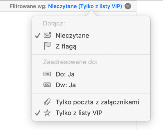 Menu filtrów pokazujące sześć możliwych filtrów: Nieczytanie, Z flagą, Do: Ja, Dw: Ja, Tylko Mail z załącznikami oraz Tylko z listy VIP.