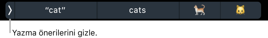 Sözcükleri ve emojileri gösteren yazma önerileri ve sol tarafta yazma önerilerini gizleme düğmesi.