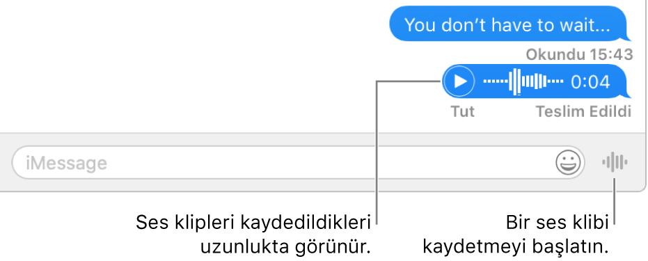 Mesajlar penceresinde bir yazışma ve pencerenin alt kısmında metin alanının yanında görüntülenen Sesli Mesaj Gönder düğmesi.