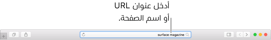 حقل البحث الذكي في Safari، حيث يمكنك إدخال اسم صفحة أو عنوان URL.