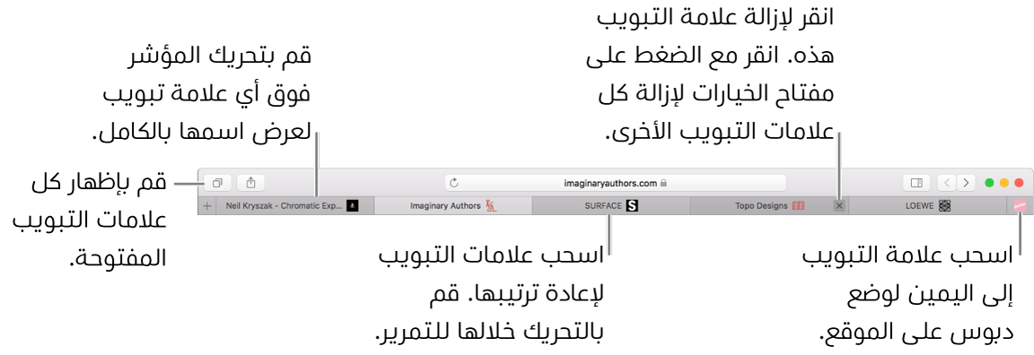 نافذة Safari وبها علامات تبويب.