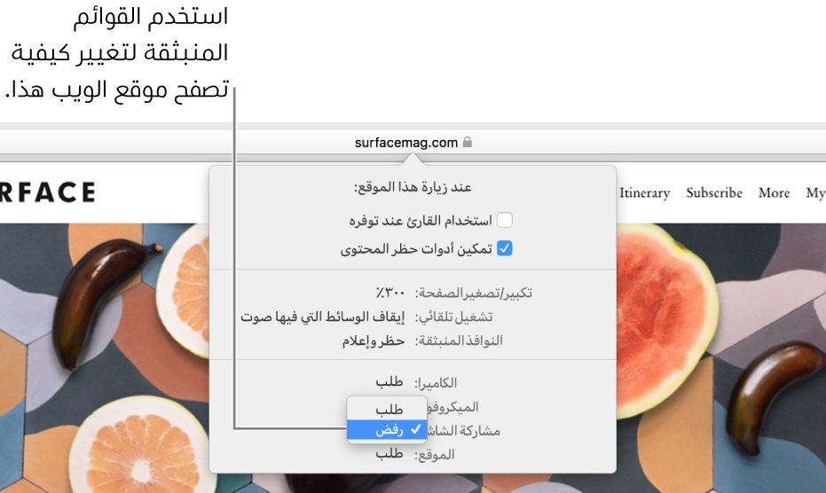 مربع حوار يظهر أسفل حقل البحث الذكي عند اختيار Safari > إعدادات موقع الويب هذا. يحتوي مربع الحوار على خيارات لتخصيص طريقة استعراضك لموقع الويب الحالي، بما في ذلك استخدام عرض القارئ، وتمكين أدوات حظر المحتوى، والمزيد.