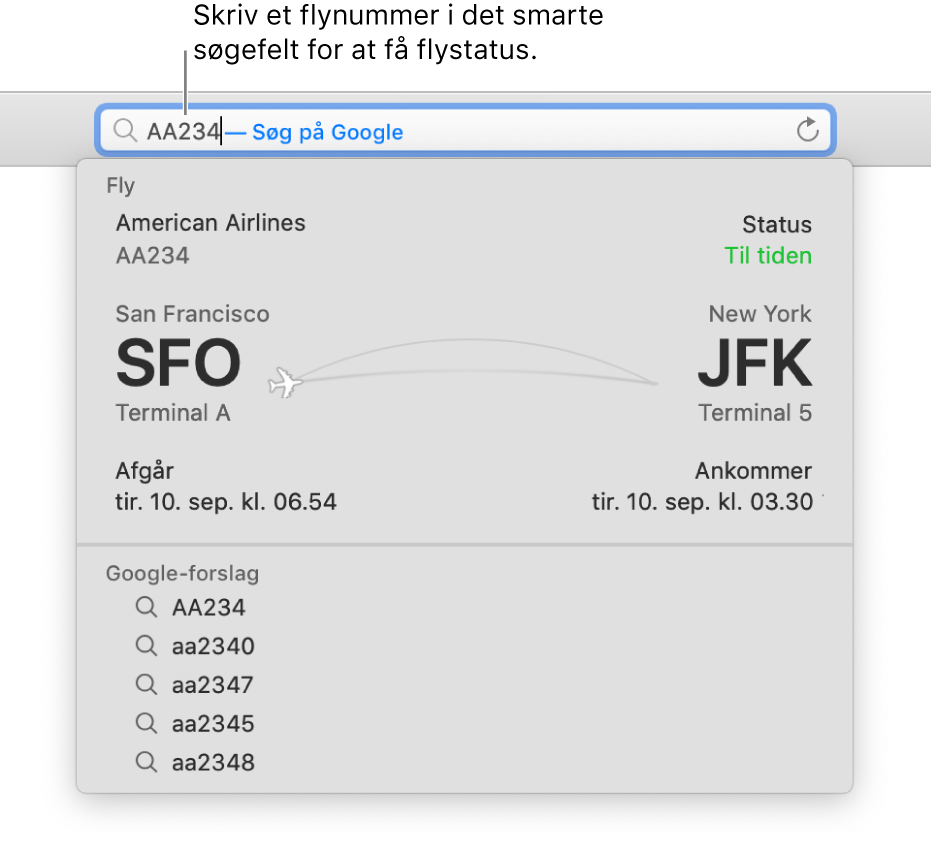 Et flynummer indtastet i det smarte søgefelt med flyets status vist direkte derunder.