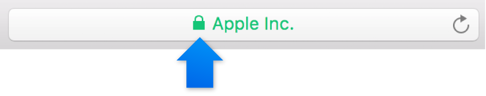 Symbolet for kryptering (ligner en lås) til et websted med et EV-certifikat (Extended Validation).