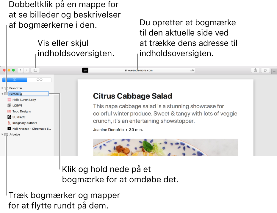 Et Safari-vindue, der viser bogmærker i indholdsoversigten, og et bogmærke, der er valgt til redigering.