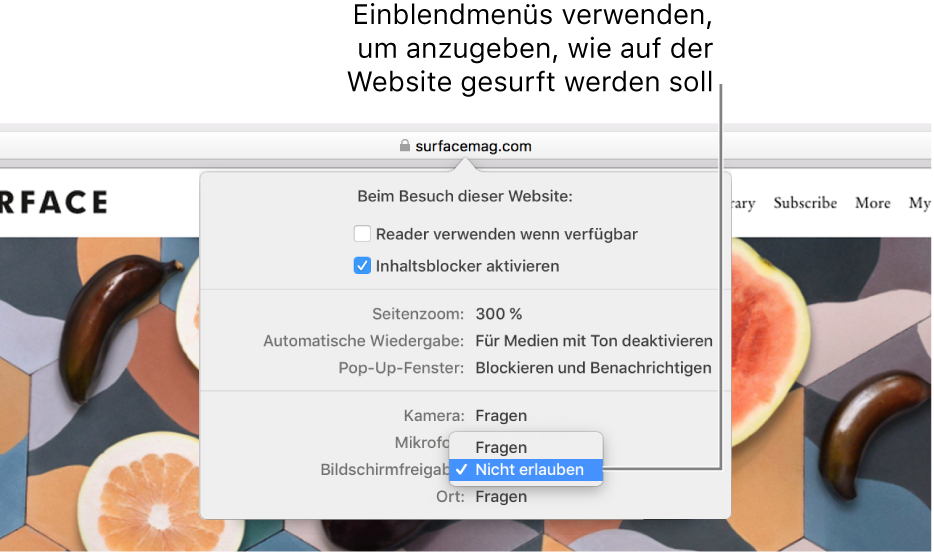 Das Dialogfenster, das unter dem intelligenten Suchfeld angezeigt wird, wenn du „Safari“ > „Einstellungen für diese Website“ auswählst. Das Dialogfenster enthält die Optionen „Reader verwenden“, „Inhaltsblocker aktivieren“ und andere Optionen, mit denen du das Verhalten der aktuellen Website anpassen kannst.