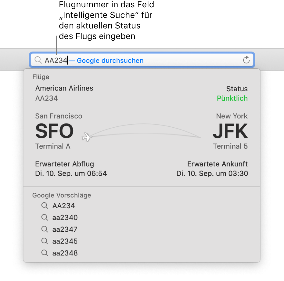 Eine in das intelligente Suchfeld eingegebene Flugnummer und der direkt darunter eingeblendete Status des Flugs.
