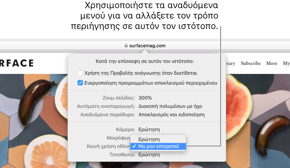 Το πλαίσιο διαλόγου που εμφανίζεται κάτω από το πεδίο Έξυνης αναζήτησης όταν επιλέγετε Safari > «Ρυθμίσεις για αυτόν τον ιστότοπο». Το πλαίσιο διαλόγου περιέχει επιλογές για προσαρμογή του τρόπου που επισκέπτεστε τον τρέχοντα ιστότοπο, συμπεριλαμβανομένης της Προβολής ανάγνωσης, ενεργοποίηση των προγραμμάτων αποκλεισμού περιεχομένου, κ.ά.