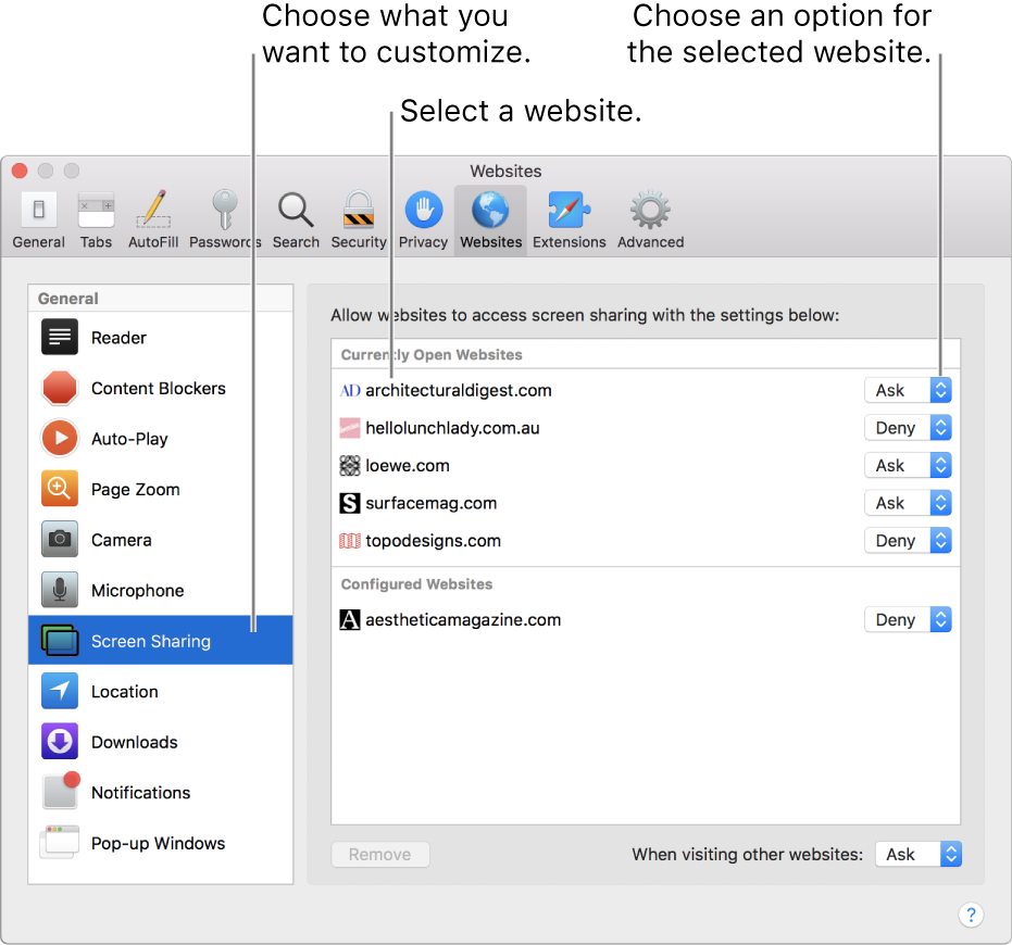 The Websites pane of Safari preferences, where you can customize how you browse individual websites.