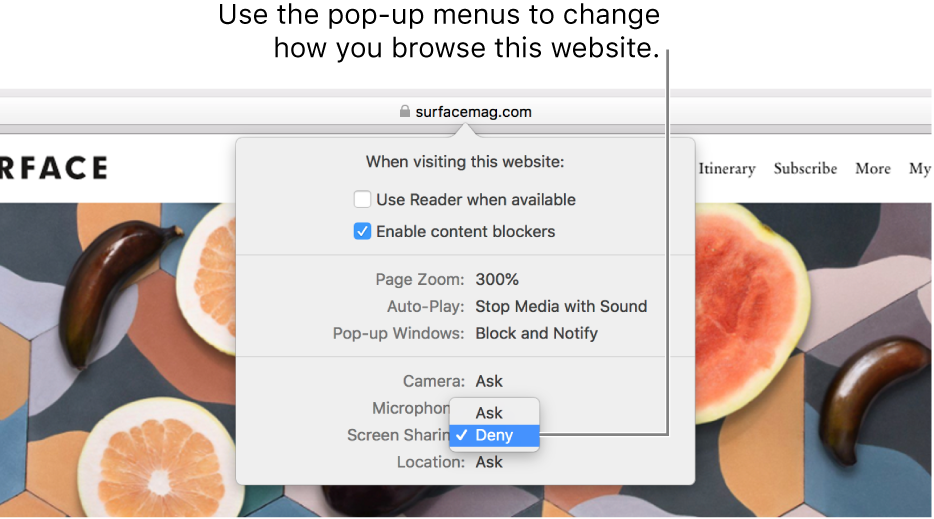 The dialog that appears below the Smart Search field when you choose Safari > Settings for This Website. The dialog contains choices for customizing how you browse the current website, including using Reader view, enabling content blockers, and more.