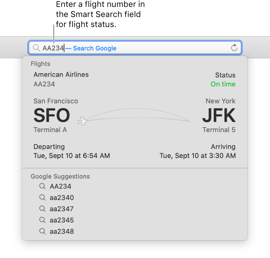 A flight number entered in the Smart Search field, with the status of the flight shown directly below.