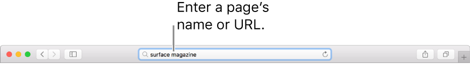 Safari Smart Search字段，您可以在其中输入页面名称或URL。