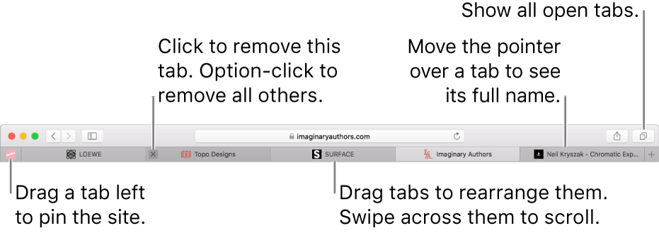 The Safari window with tabs.