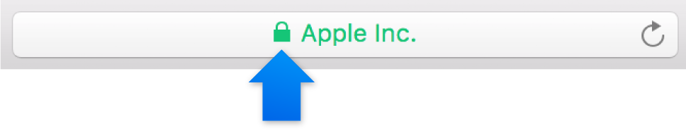 The encryption icon (looks like a lock) for a site with an Extended Validation certificate.