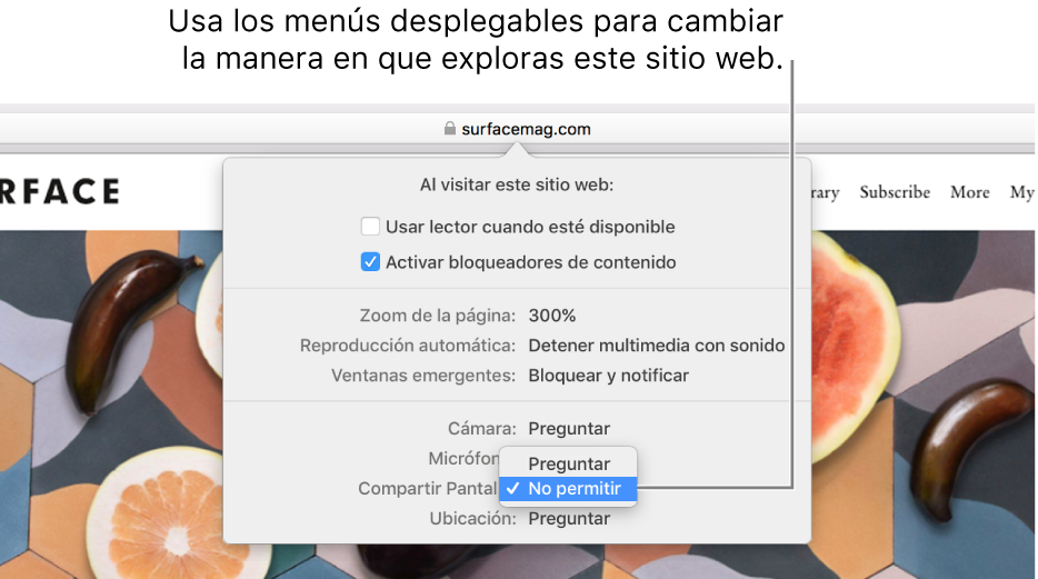 El diálogo que aparece por debajo del campo de búsqueda inteligente cuando seleccionas Safari > Preferencias para este sitio web. El cuadro de diálogo contiene opciones para personalizar cómo navegas en el sitio web actual, incluyendo el uso de la vista de lector, habilitar bloqueadores de contenido, etc.