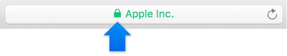El icono de encriptación (parece un candado) para un sitio con un certificado de validación ampliada.