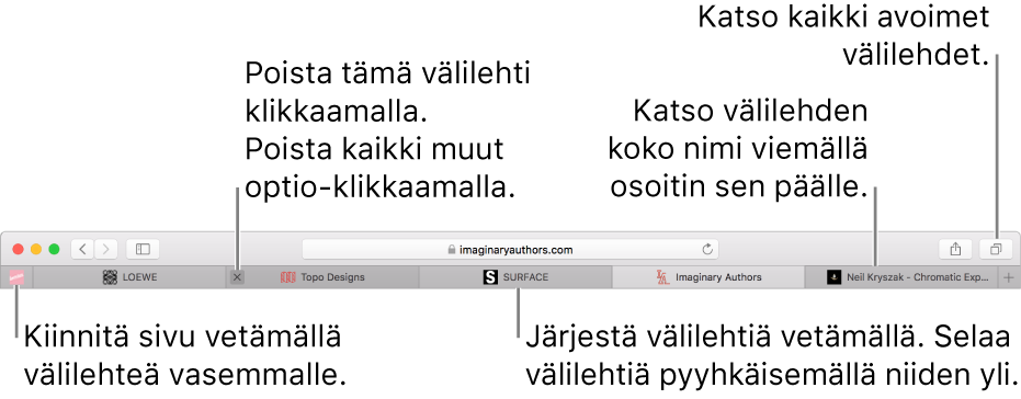 Safari-ikkuna, jossa on välilehtiä.