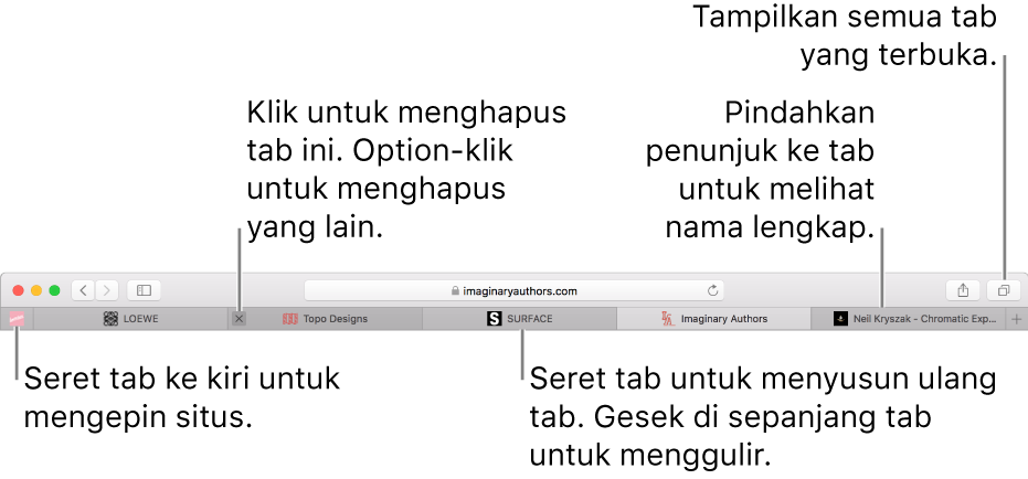 Jendela Safari dengan tab.