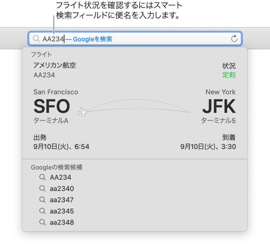 スマート検索フィールドに入力されているフライト番号と、すぐ下に表示されているフライトの状況。