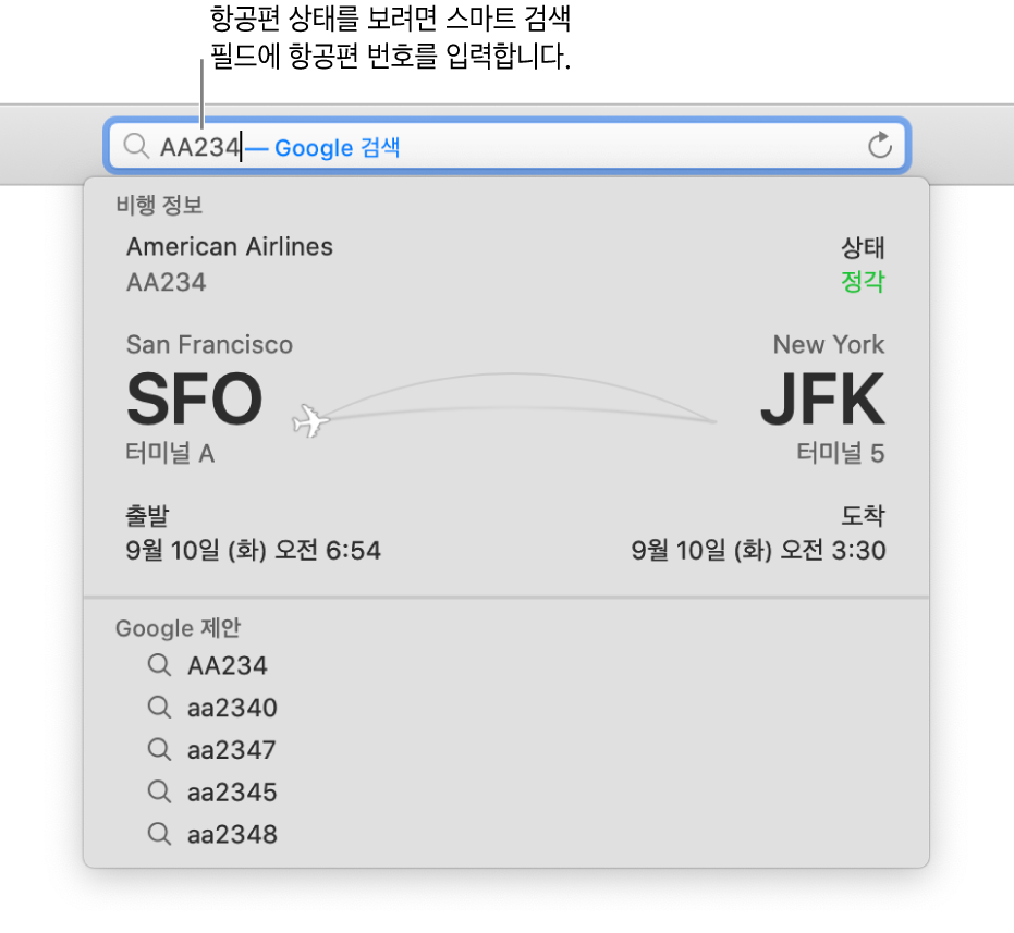 항공편 번호가 입력되어 있고 해당 항공편 상태가 바로 아래에 표시되어 있는 스마트 검색 필드.