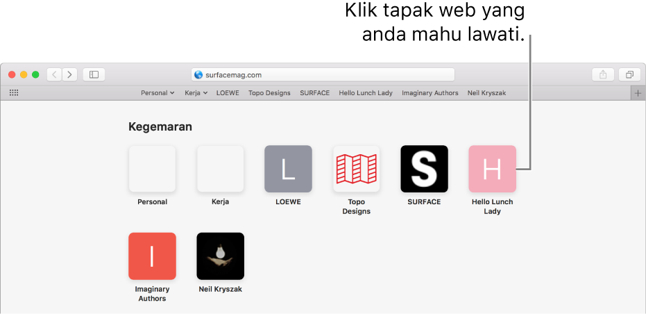 Mudan alamat dan carian Safari; di bawahnya adalah ikon tapak web kegemaran.
