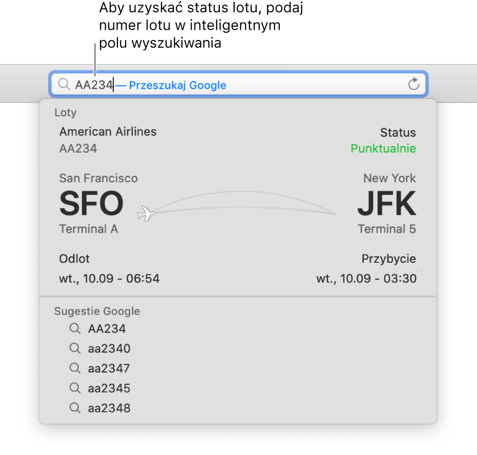 Numer lotu wpisany w inteligentnym polu wyszukiwania. Bezpośrednio poniżej tego pola widoczny jest status lotu.
