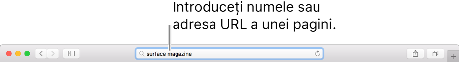 Câmpul inteligent de căutare Safari, unde puteți introduce numele sau adresa URL a unei pagini.