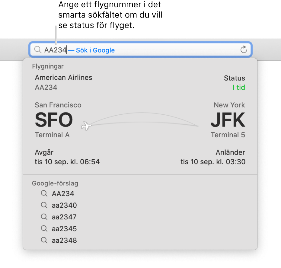 Ett flygnummer inskrivet i det smarta sökfältet med flygstatus direkt nedanför.