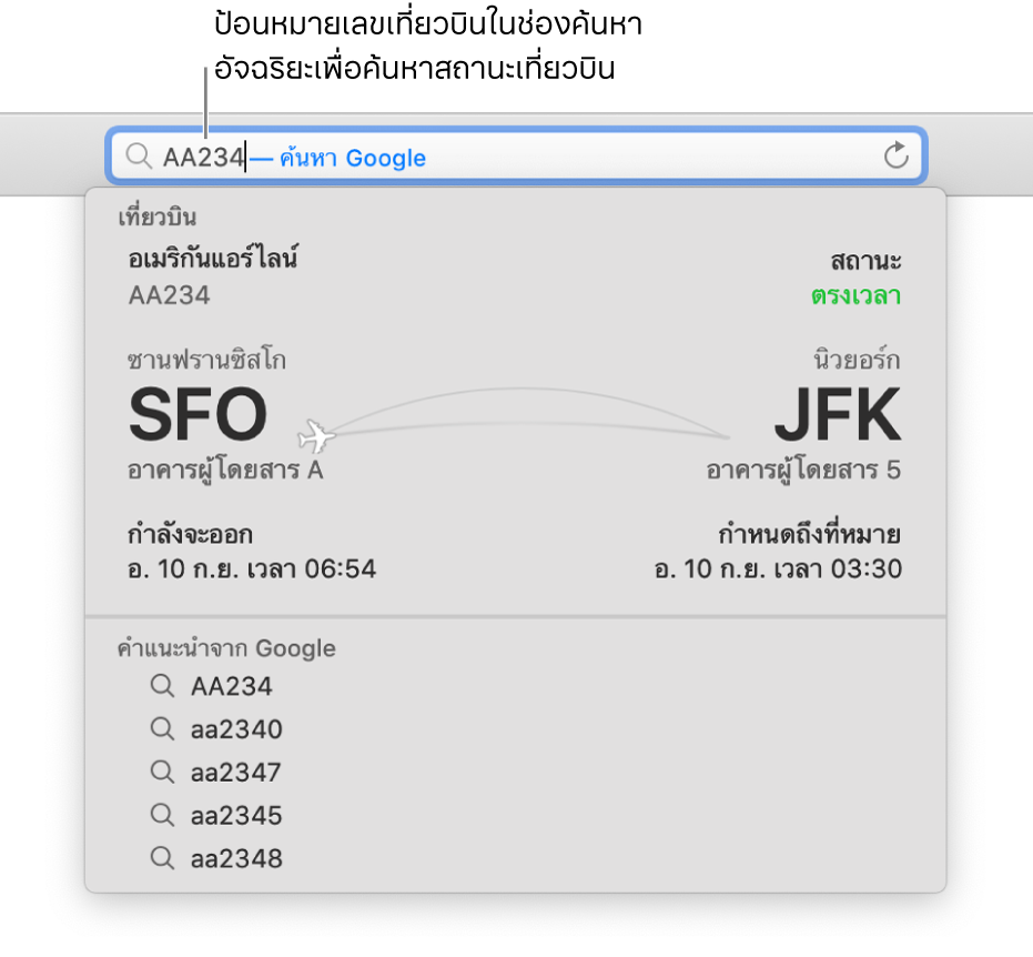 หมายเลขเที่ยวบินที่ป้อนอยู่ในช่องค้นหาอัจฉริยะ โดยมีสถานะของเที่ยวบินที่แสดงโดยตรงอยู่ด้านล่าง
