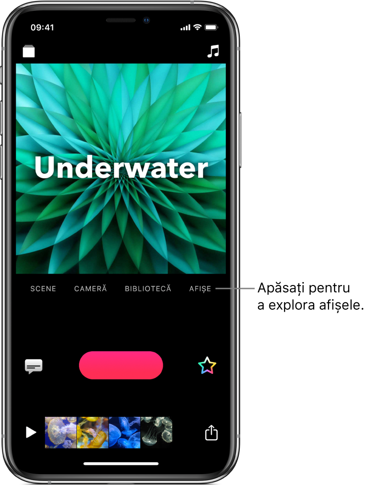 Un afiș în vizualizor, cu butonul Afișe dedesubt.