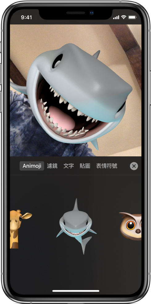 檢視器中顯示帶有鯊魚 Animoji 的影片影像。
