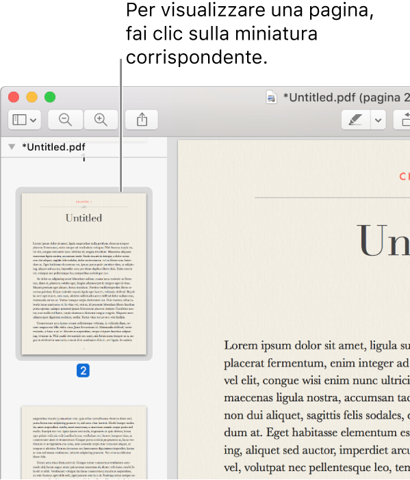 Le miniature delle pagine di un file PDF nella barra laterale.