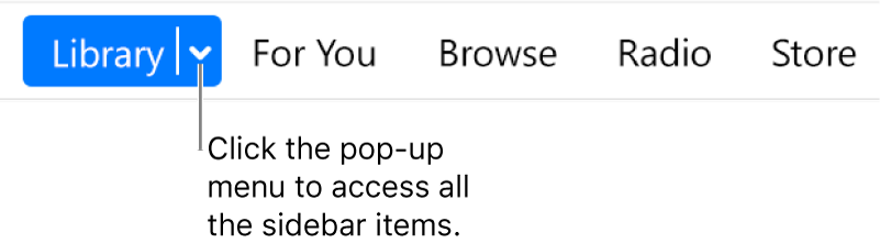 The Library button in the navigation bar, showing the pop-up menu; click it to access all sidebar items when you hide the sidebar.