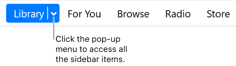The Library button in the navigation bar, showing the pop-up menu; click it to access all sidebar items when you hide the sidebar.