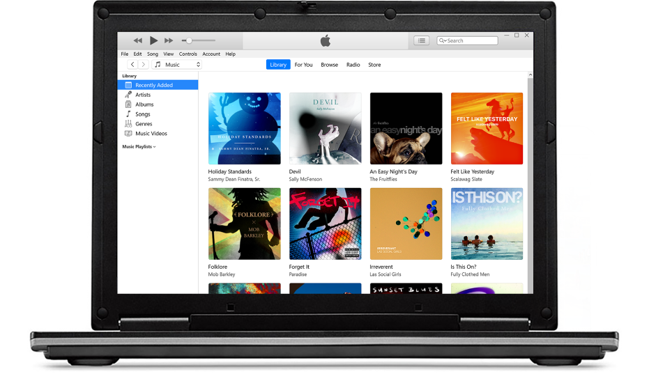 The iTunes window with a library of multiple albums.