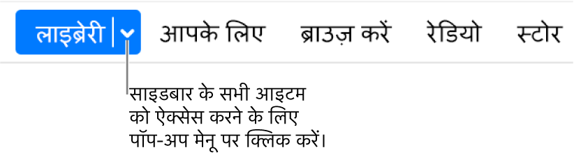 पॉप-अप मेनू दिखाता नैविगेशन बार में मौजूद लाइब्रेरी बटन; साइडबार छिपाने पर सभी साइडबार आइटम को ऐक्सेस करने के लिए उस पॉप-अप मेनू पर क्लिक करें।