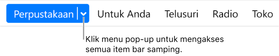 Tombol Perpustakaan di bar navigasi, menampilkan menu pop-up; klik untuk mengakses semua item bar samping saat Anda menyembunyikan bar samping.