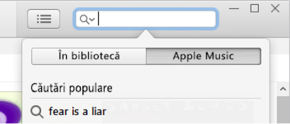 Câmpul de căutare pentru Apple Music.