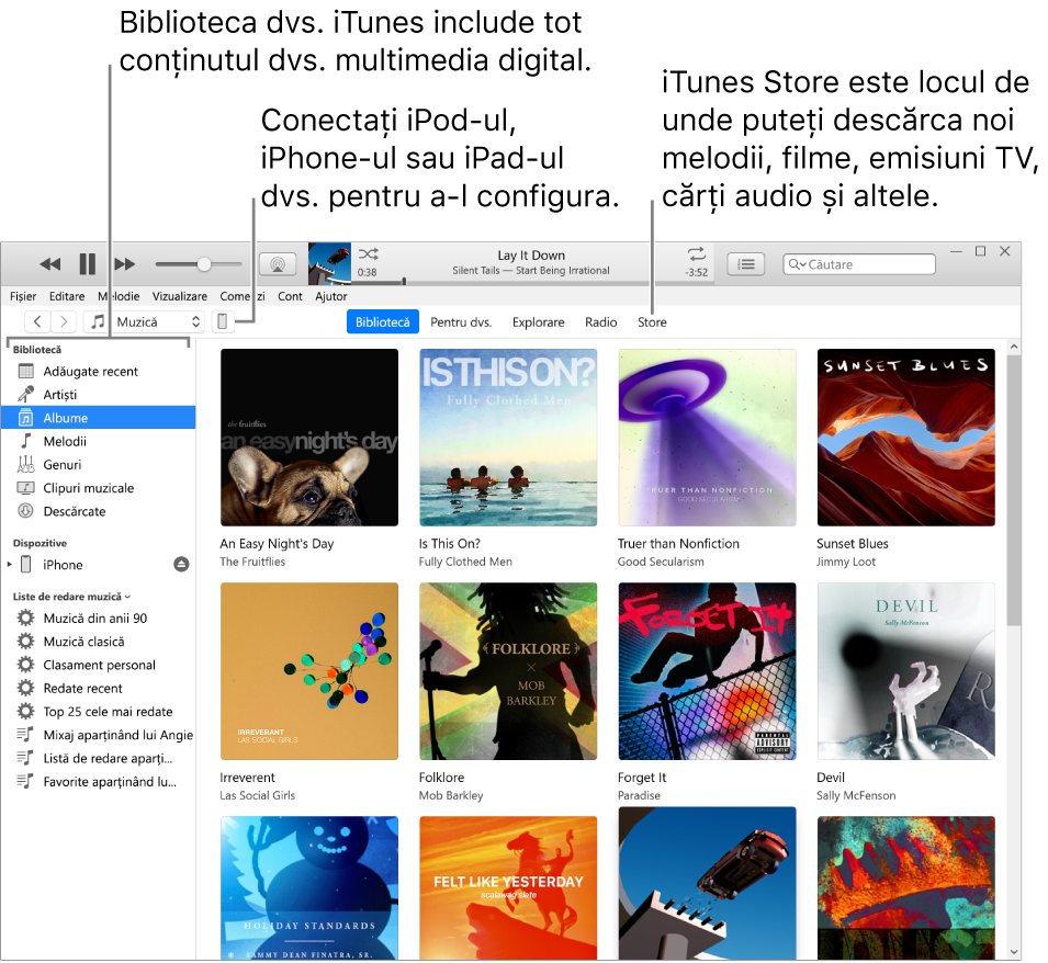 Vizualizare a ferestrei iTunes: Fereastra iTunes are două panouri. În stânga, este bara laterală Bibliotecă. Aceasta conține tot conținutul dvs. multimedia digital. În dreapta, în zona mai mare pentru conținut, puteți vedea o secțiune de elemente de care sunteți interesat(ă) - de exemplu, vizitați biblioteca dvs. sau pagina Pentru dvs., explorați noi melodii și clipuri video iTunes sau vizitați iTunes Store pentru a descărca noi melodii, filme, emisiuni TV, cărți audio și altele. În colțul din dreapta sus al barei laterale Bibliotecă, se află butonul Dispozitiv, care arată că iPhone‑ul, iPad‑ul sau iPod‑ul dvs. este conectat la PC.