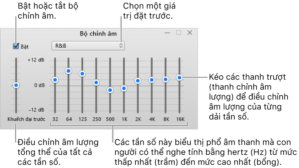 Cửa sổ Bộ chỉnh âm: Hộp kiểm để bật bộ chỉnh âm iTunes ở góc trên bên trái. Bên cạnh là menu bật lên có các giá trị đặt trước của bộ chỉnh âm. Ở phía ngoài cùng bên trái, điều chỉnh âm lượng chung của các tần số bằng tính năng khuếch đại trước. Bên dưới các giá trị đặt trước của bộ chỉnh âm, điều chỉnh mức âm thanh của các dải tần số khác nhau thể hiện dải âm thanh mà con người có thể nghe được từ thấp nhất đến cao nhất.