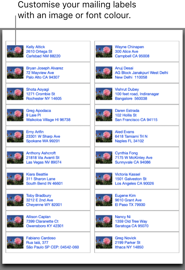 print labels from iphone