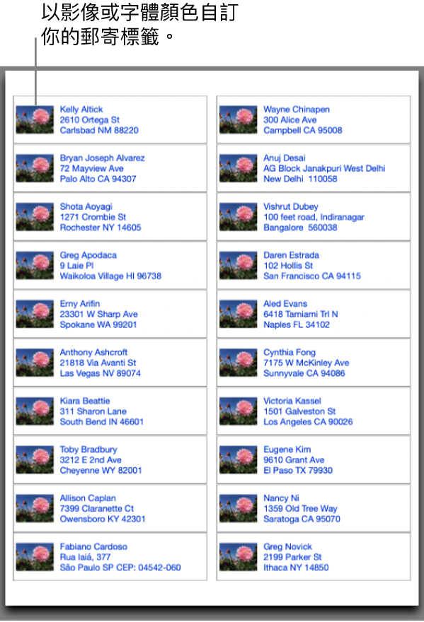 在mac 上的 通訊錄 中列印郵寄標籤 信封和聯絡人列表 Apple 支援