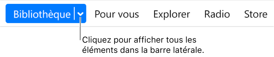 Le bouton Bibliothèque dans la barre de navigation affichant le menu local ; cliquez dessus pour accéder à tous les éléments de la barre latérale lorsque vous la masquez.