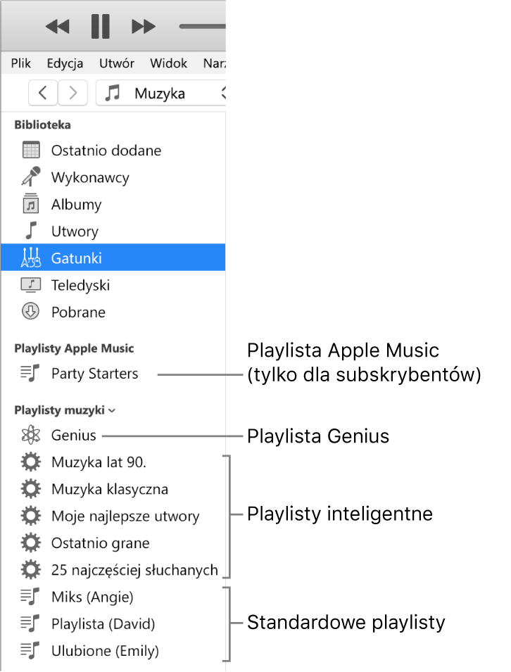 Pasek boczny iTunes z playlistami różnego typu: Apple Music (tylko dla subskrybentów) i Genius, playlistami inteligentnymi oraz playlistami standardowymi.
