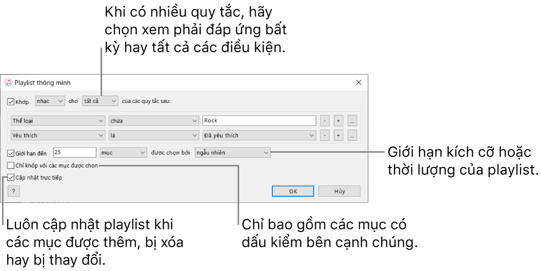 Cửa sổ Playlist thông minh: Ở góc trên bên trái, hãy chọn Match, sau đó chỉ định tiêu chí của playlist (chẳng hạn như thể loại hoặc yêu thích). Tiếp tục để thêm hoặc xóa các quy tắc; khi có nhiều quy tắc, hãy chọn xem phải đáp ứng bất kỳ hay tất cả các điều kiện. Chọn các tùy chọn khác ở phần dưới của cửa sổ chẳng hạn như giới hạn kích cỡ hoặc thời lượng của playlist, chỉ bao gồm những bài hát được chọn hoặc yêu cầu iTunes cập nhật playlist khi các mục trong thư viện của bạn thay đổi.